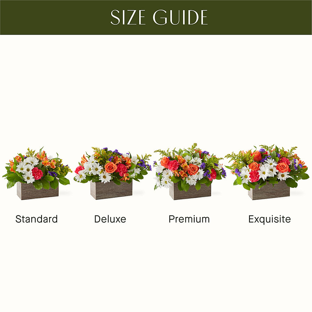 Oopsie Daisy Box Bouquet – The Flower Station, Paris TN