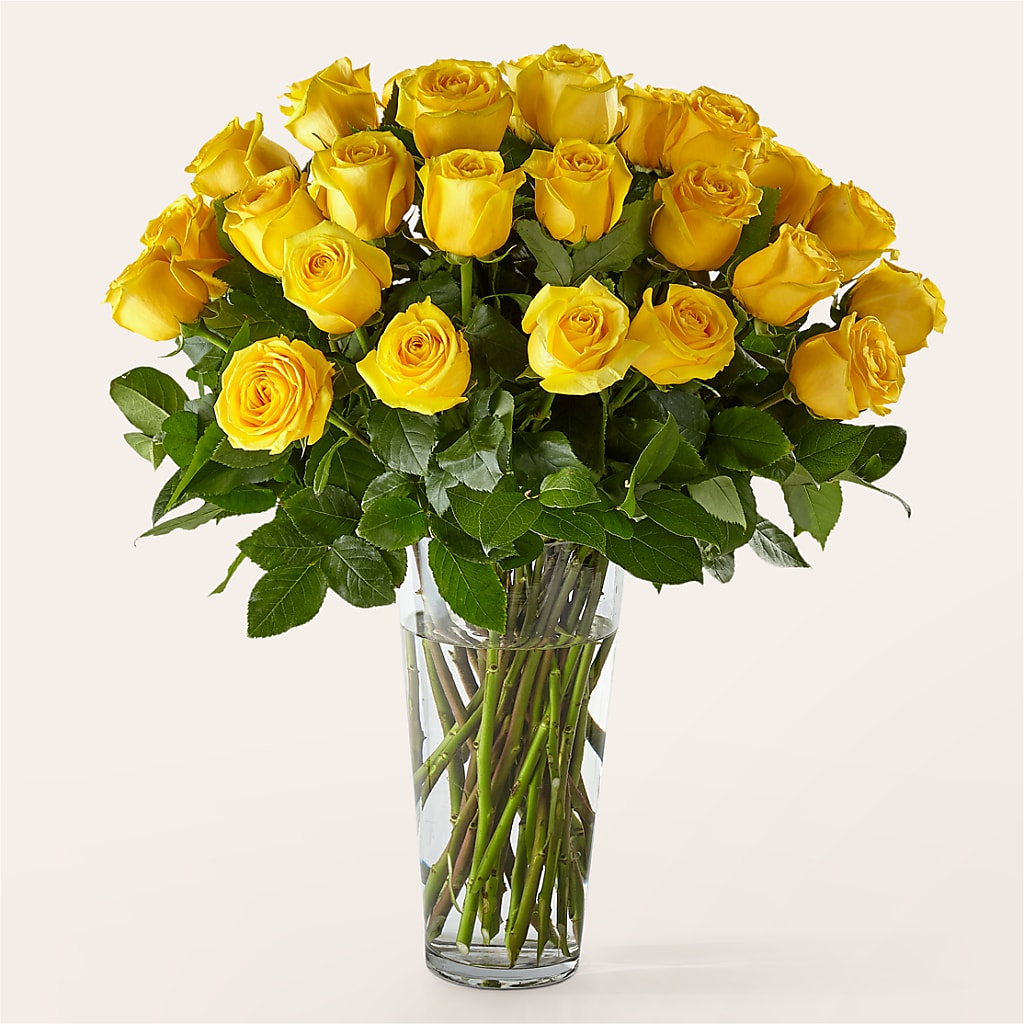 Long Stem Yellow Rose Bouquet – The Flower Station, Paris TN