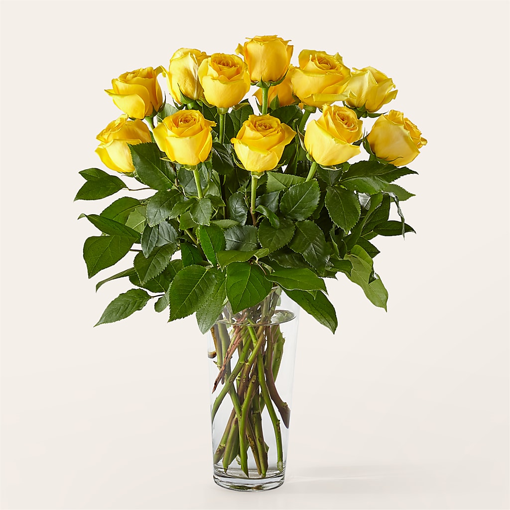 Long Stem Yellow Rose Bouquet – The Flower Station, Paris TN