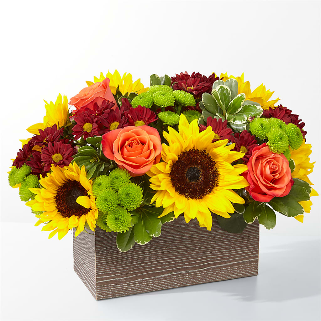 Happy Harvest Garden – The Flower Station, Paris TN