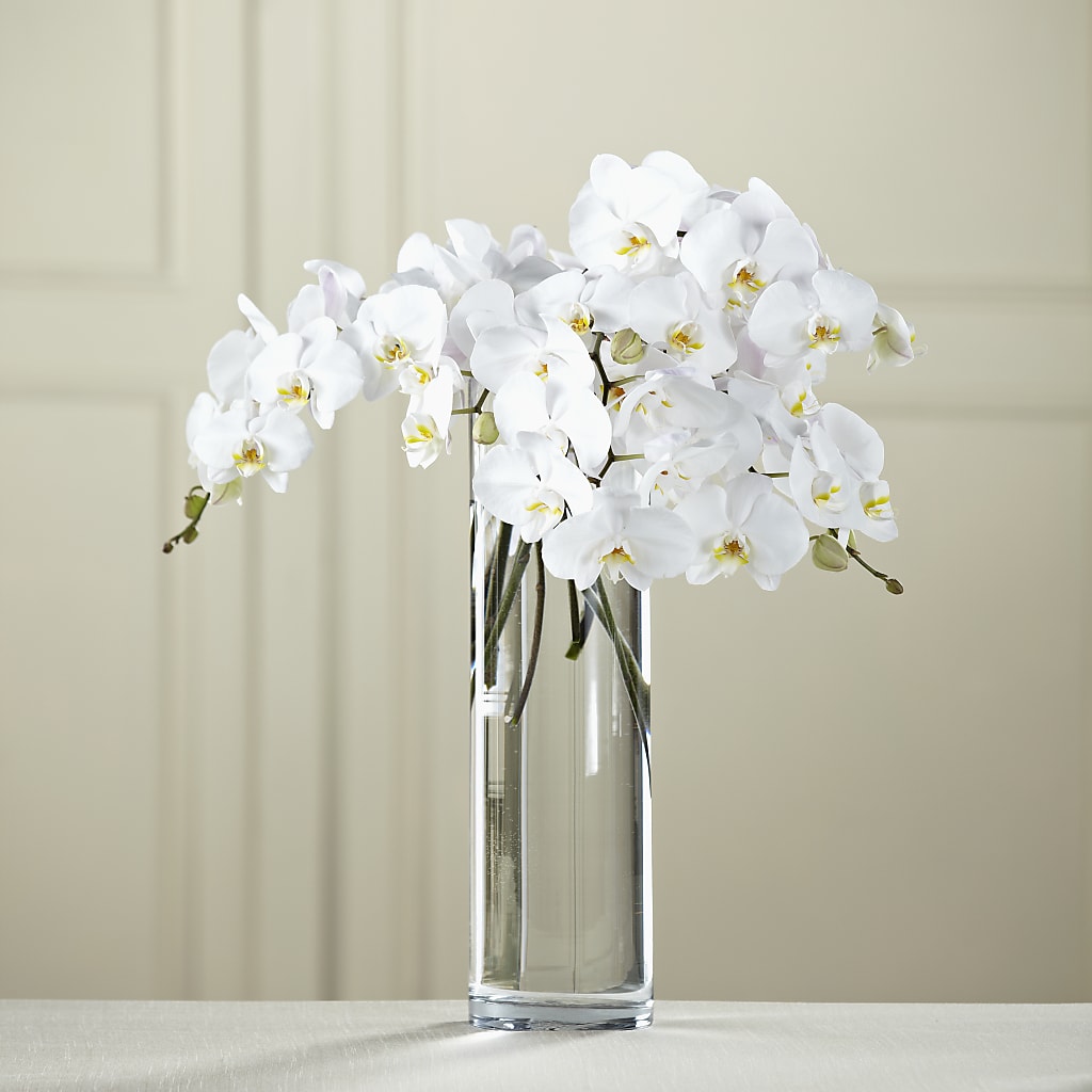 White Phalaenopsis Bouquet – The Flower Station, Paris TN