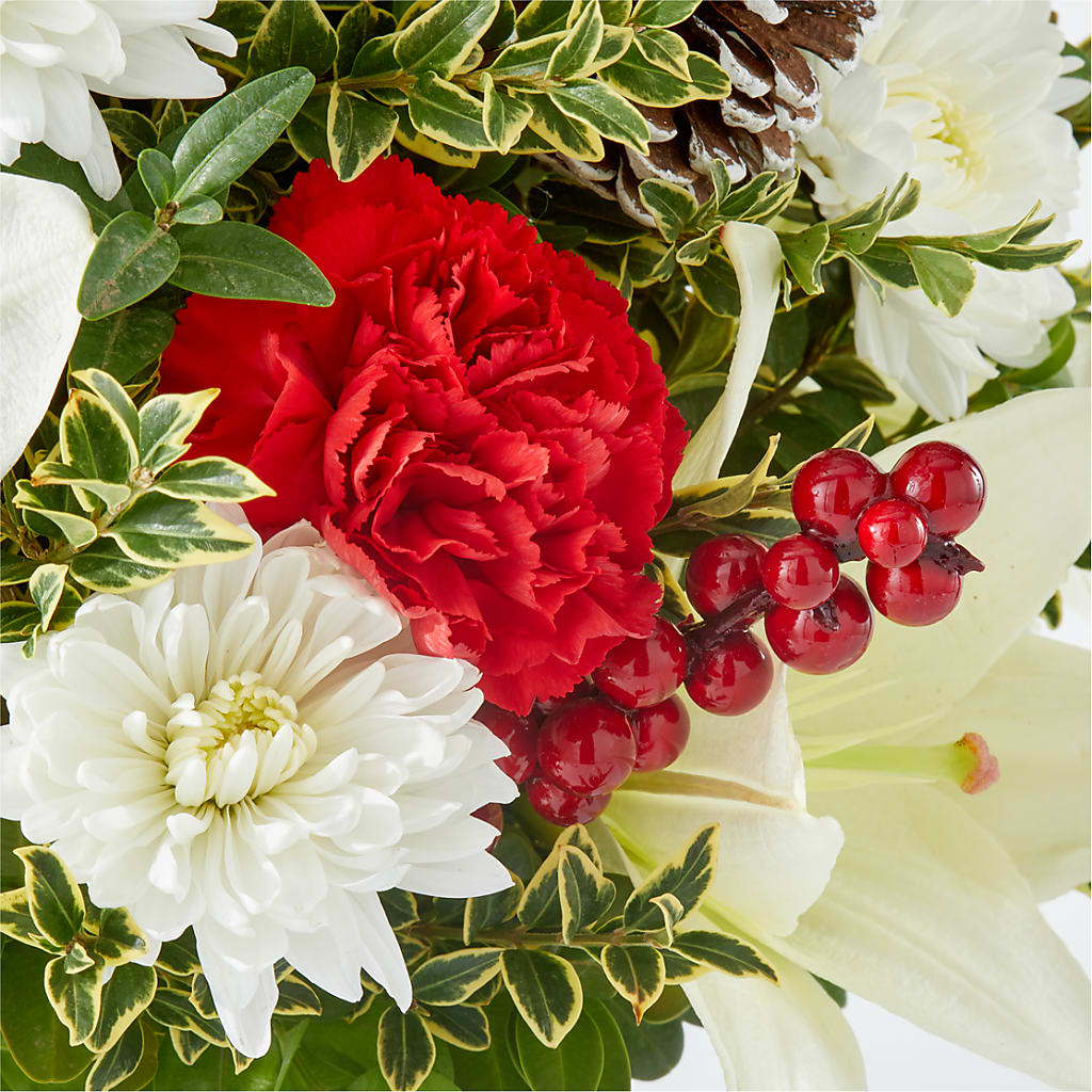 Festive Moments Tree –  The Flower Station, Paris TN