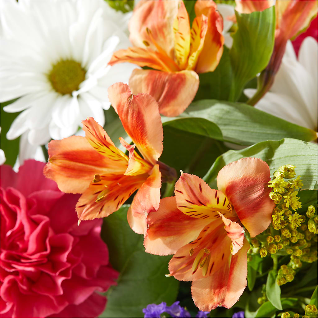 Oopsie Daisy Box Bouquet –  The Flower Station, Paris TN