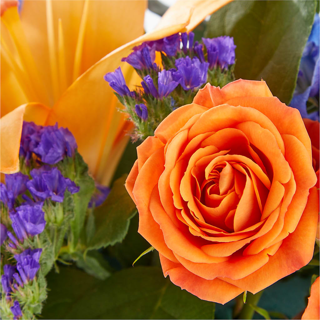 Radiant Citrus Box Bouquet –  The Flower Station, Paris TN
