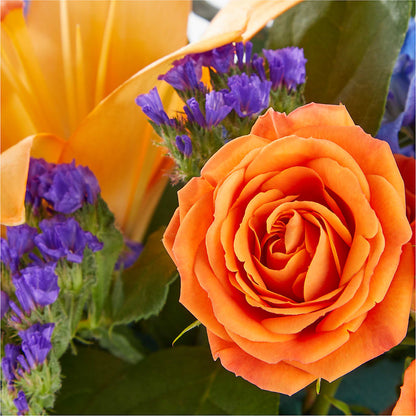 Radiant Citrus Box Bouquet –  The Flower Station, Paris TN