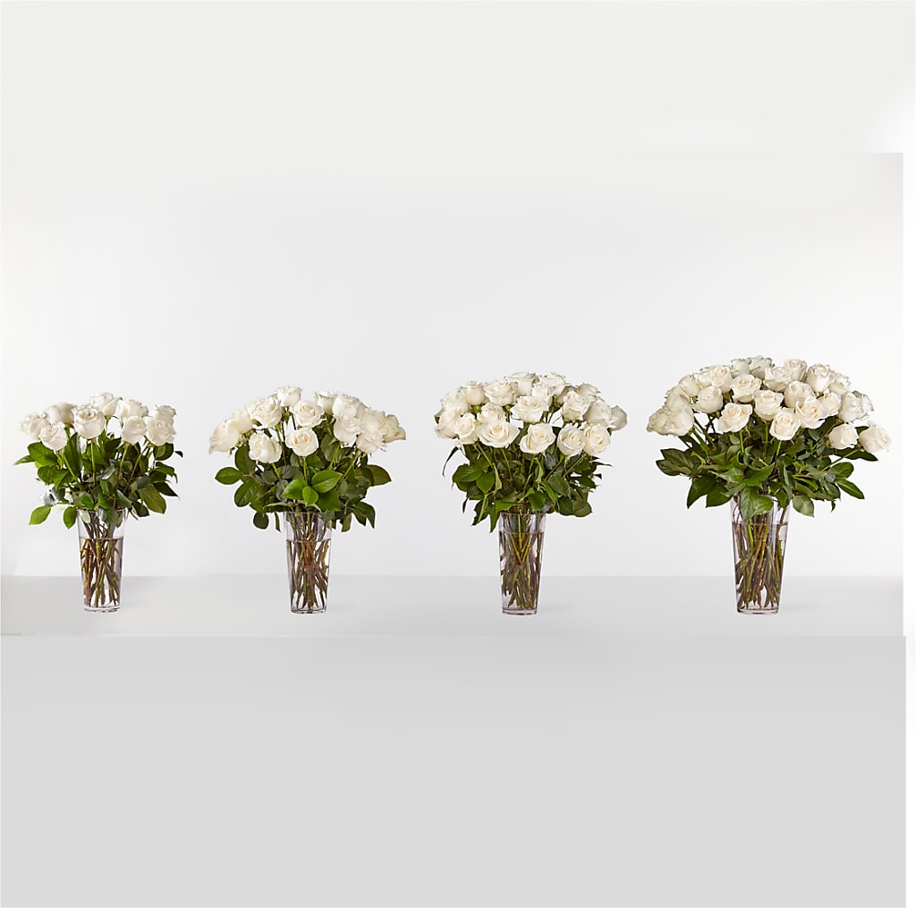 Long Stem White Rose Bouquet –  The Flower Station, Paris TN