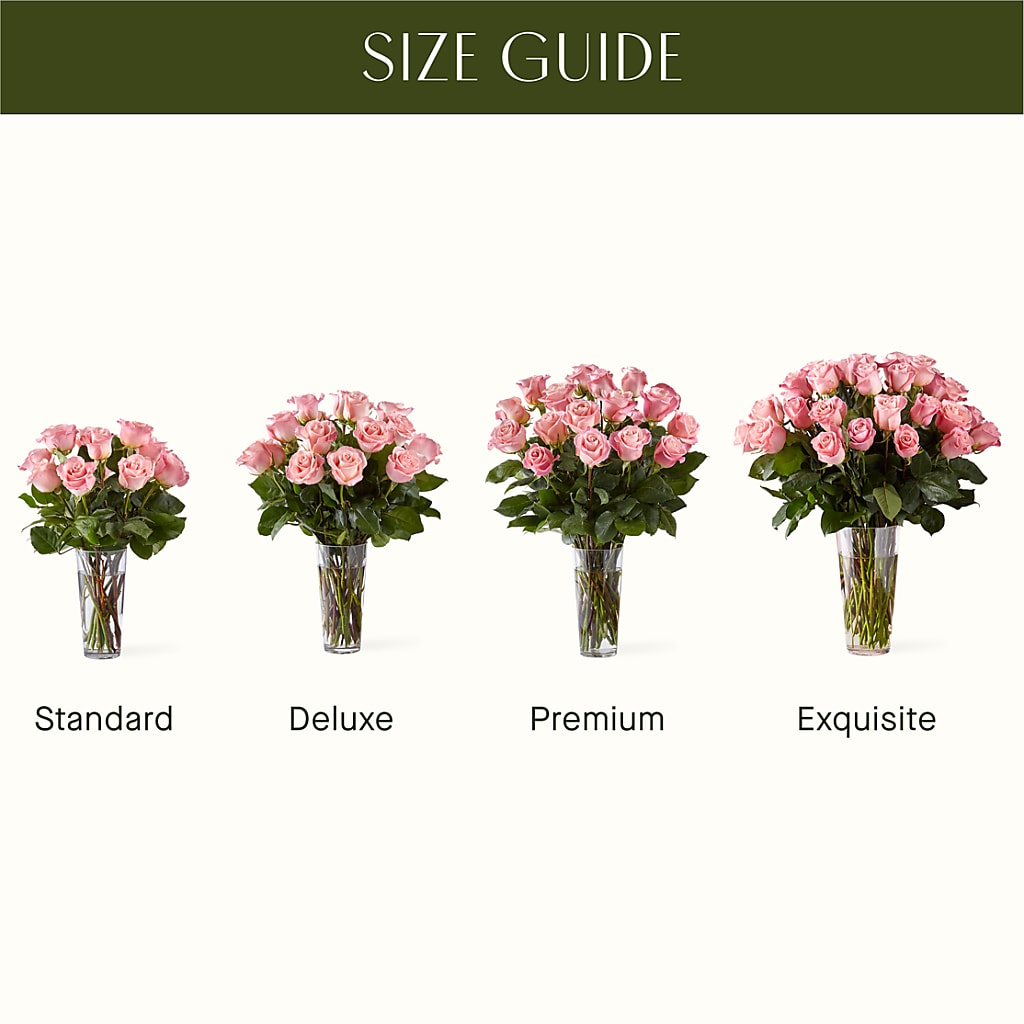 Long Stem Pink Rose Bouquet –  The Flower Station, Paris TN