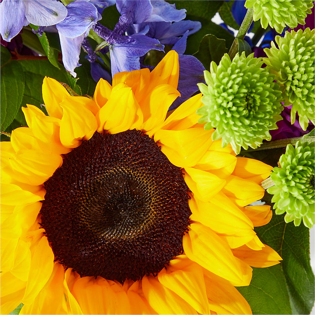 Catching Rays Bouquet –  The Flower Station, Paris TN