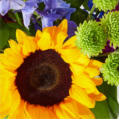 Catching Rays Bouquet –  The Flower Station, Paris TN