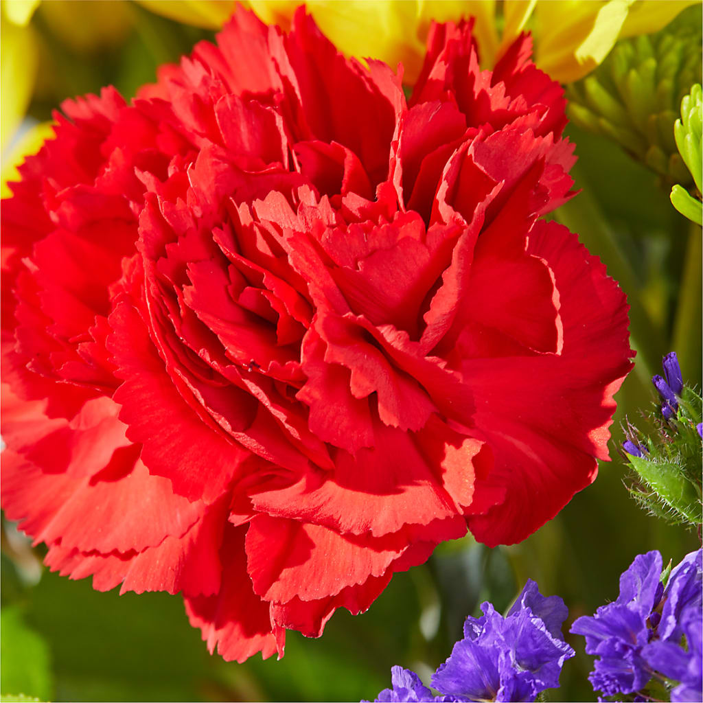 Brighter Days Bouquet –  The Flower Station, Paris TN