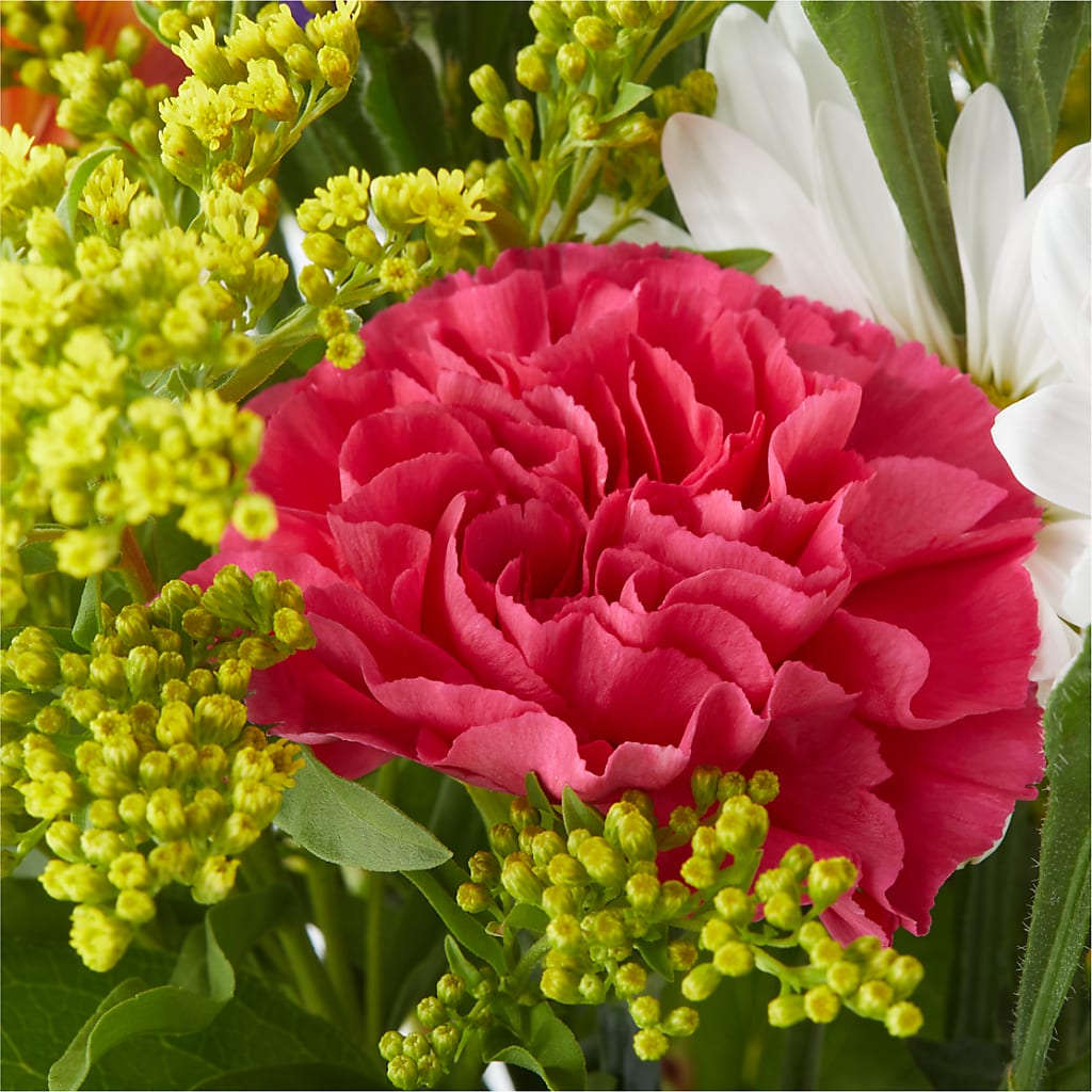 Oopsie Daisy Bouquet –  The Flower Station, Paris TN