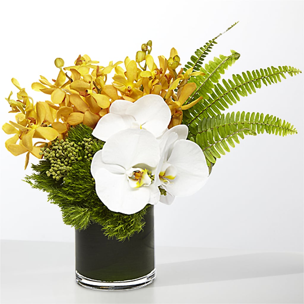 The Tropics –  The Flower Station, Paris TN