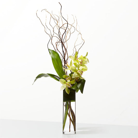 The Statement –  The Flower Station, Paris TN