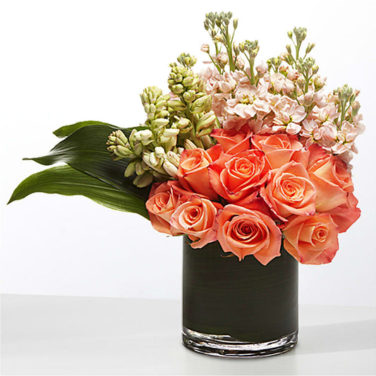 The Moment –  The Flower Station, Paris TN