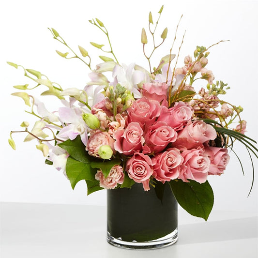 The Muse –  The Flower Station, Paris TN