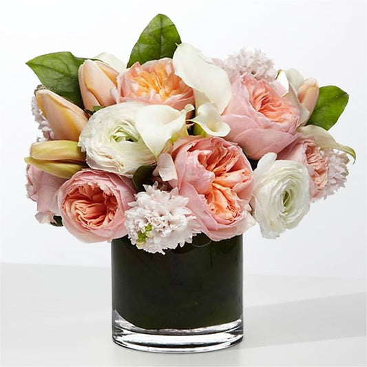 The Destiny –  The Flower Station, Paris TN