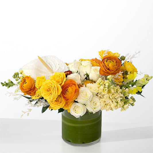 The Optimist –  The Flower Station, Paris TN