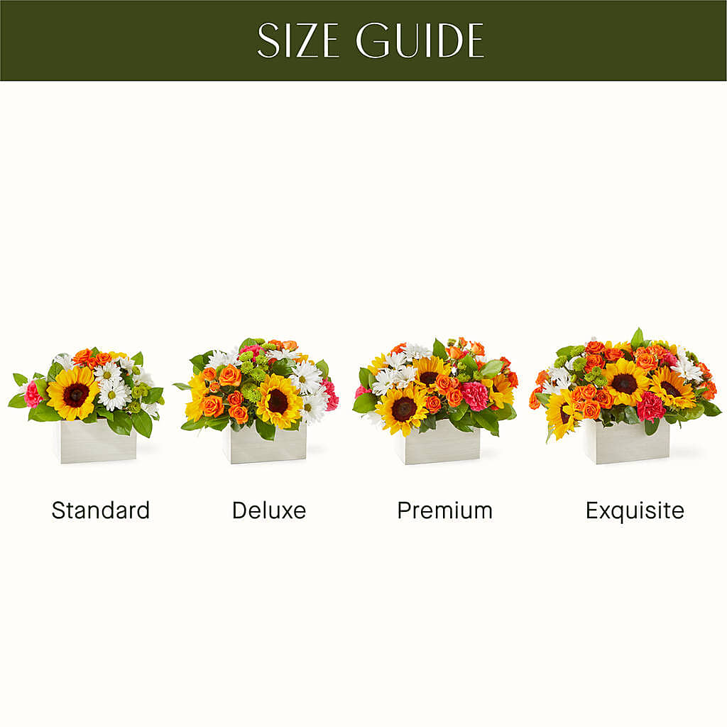 Sun-drenched Blooms Box Bouquet –  The Flower Station, Paris TN