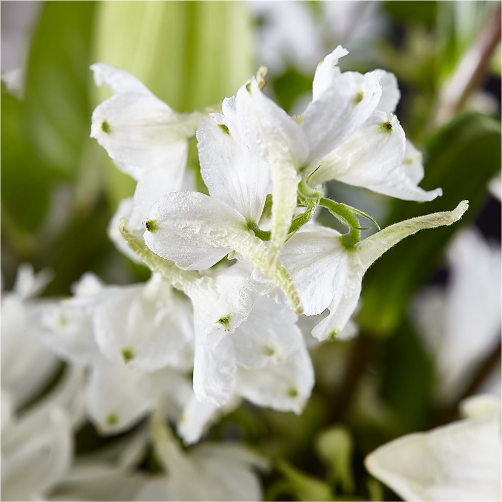 Classic Ivory – A Florist Original –  The Flower Station, Paris TN