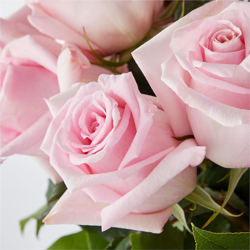 Picture Perfect Pink Rose Bouquet –  The Flower Station, Paris TN