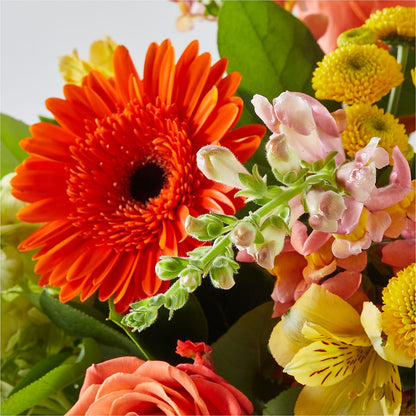 Autumn Sunshine Bouquet –  The Flower Station, Paris TN