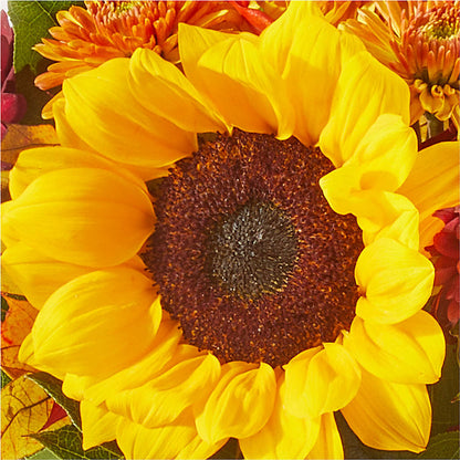 Sunny Side Bouquet –  The Flower Station, Paris TN