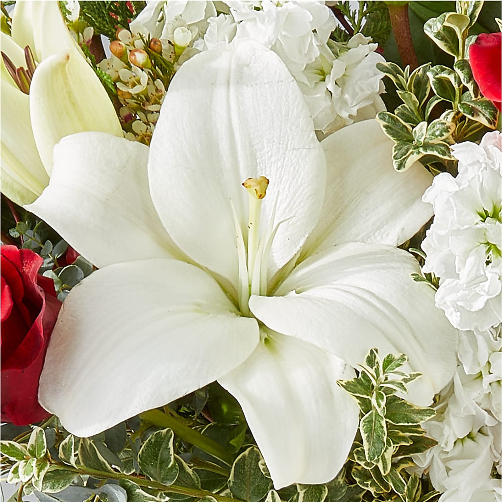 Twinkle Lights Bouquet –  The Flower Station, Paris TN