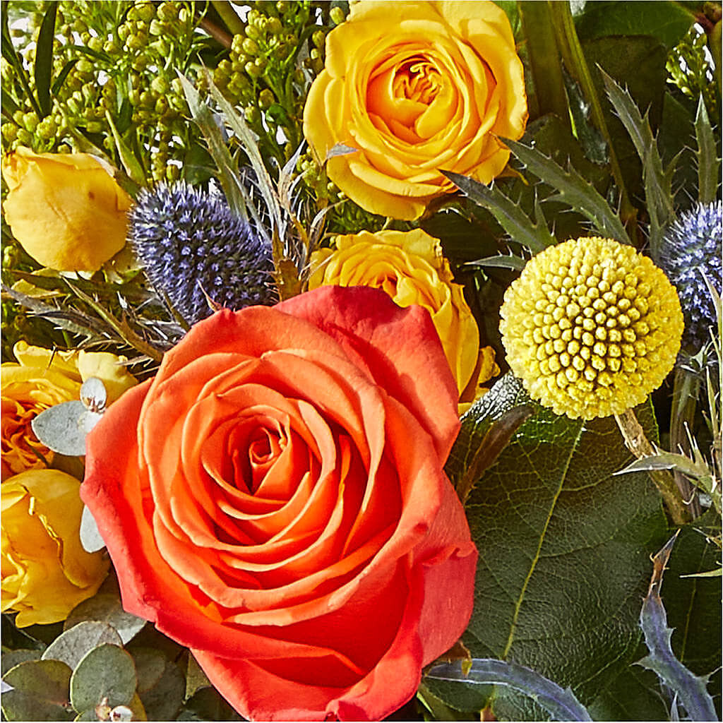 Disco Bouquet –  The Flower Station, Paris TN