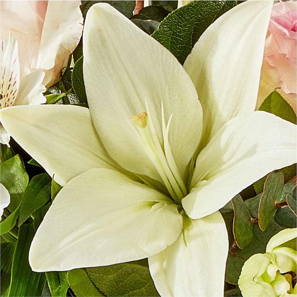 Ballet Slippers Bouquet –  The Flower Station, Paris TN