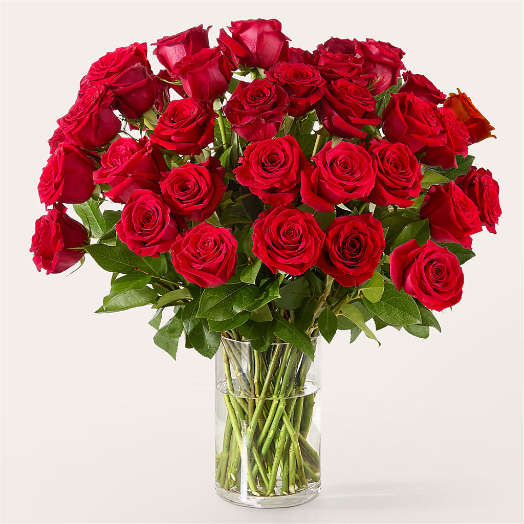 The One Red Rose Bouquet –  The Flower Station, Paris TN