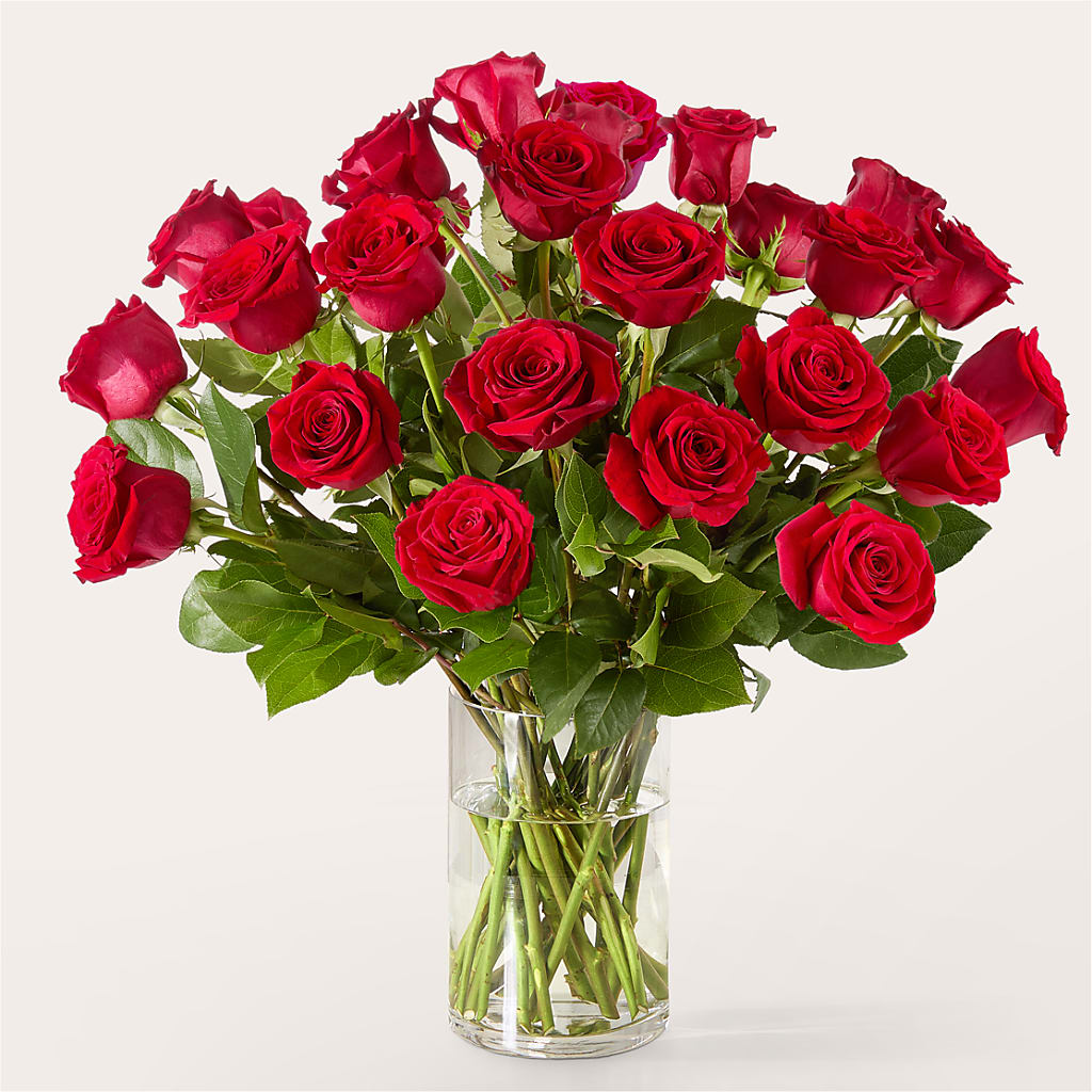 The One Red Rose Bouquet –  The Flower Station, Paris TN