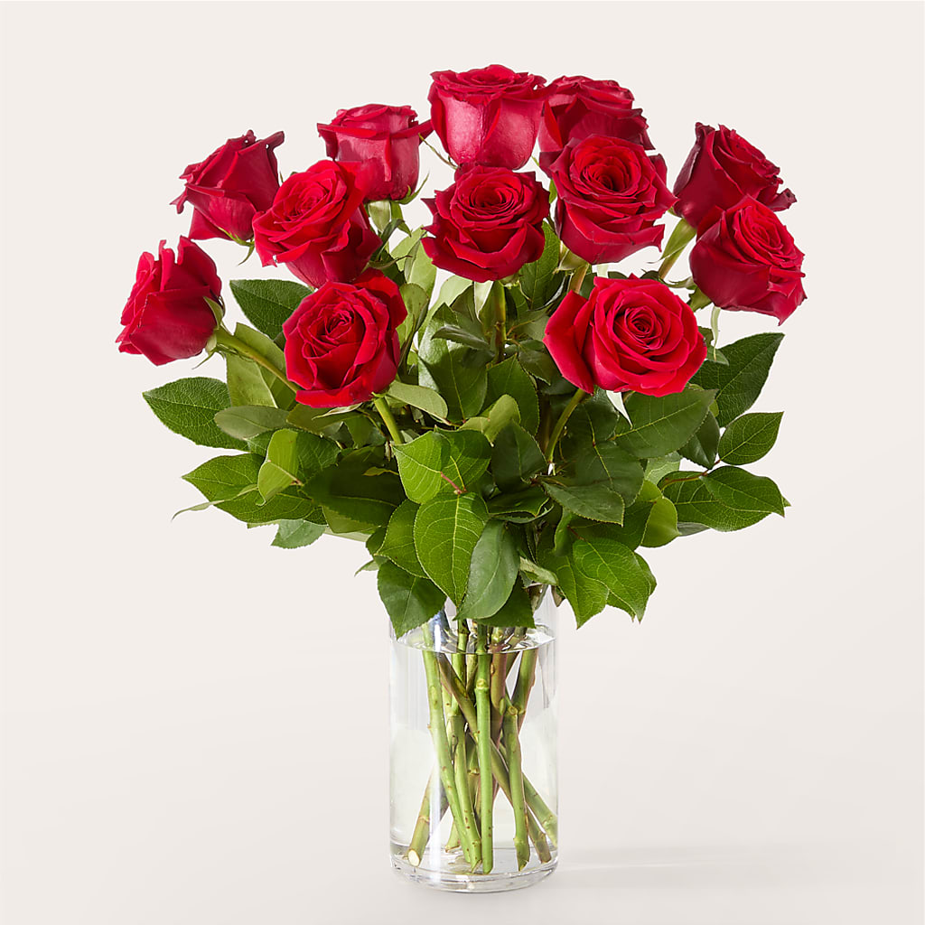 The One Red Rose Bouquet –  The Flower Station, Paris TN
