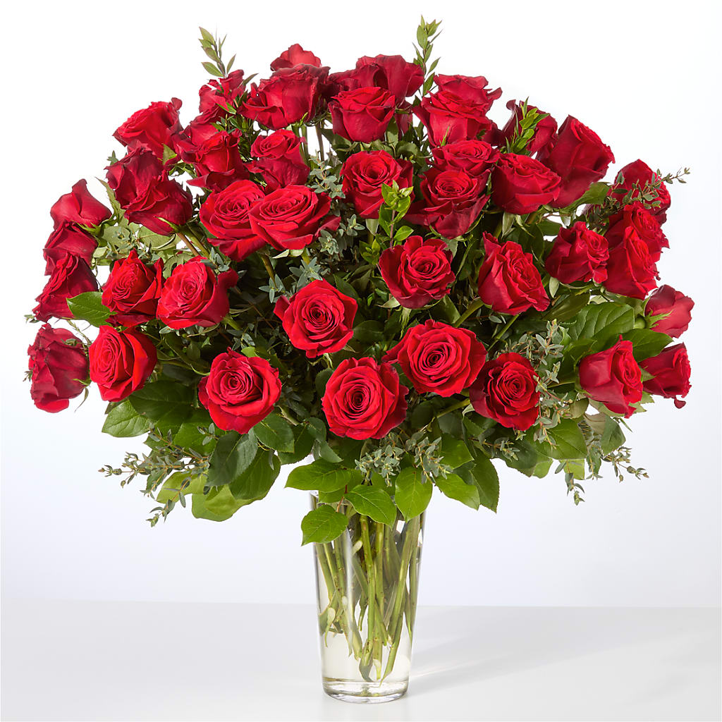 Forever Yours Fifty Stem Red Rose Bouquet –  The Flower Station, Paris TN
