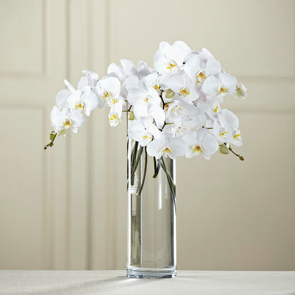 White Phalaenopsis Bouquet –  The Flower Station, Paris TN